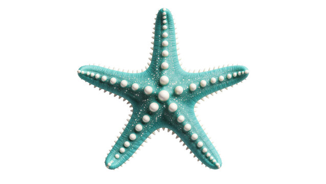 Turquoise blue starfish with white textured bumps and spiky edges
