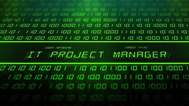 IT Job Title Series with Software Code - IT Project Manager