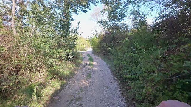 First-Person Ride Along a Narrow Sunlit Gravel Track