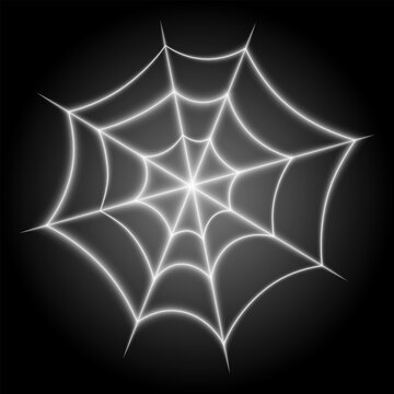 Spider web, glowing white on black background, vector illustration.