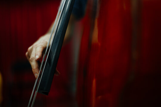 Musician Playing A Double Bass