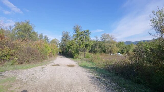 First-Person Ride from a Shrub-Lined Trail into Open Light