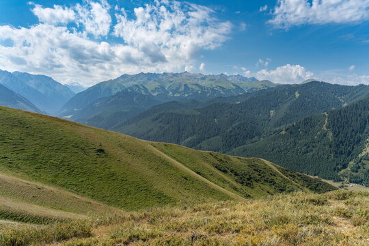 Green alpine hills, dark spruce forest and rugged peaks under a bright summer sky above Karakol gorge, Kyrgyzstan.