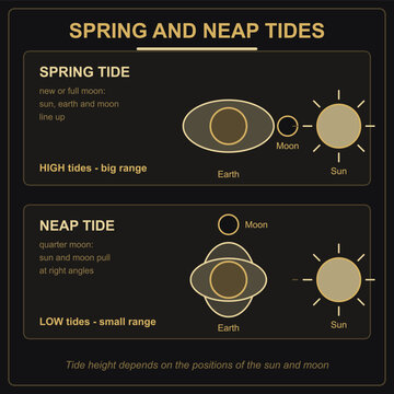 Diagramme des mar&eacute;es de vives-eaux et de mortes-eaux style or sur noir