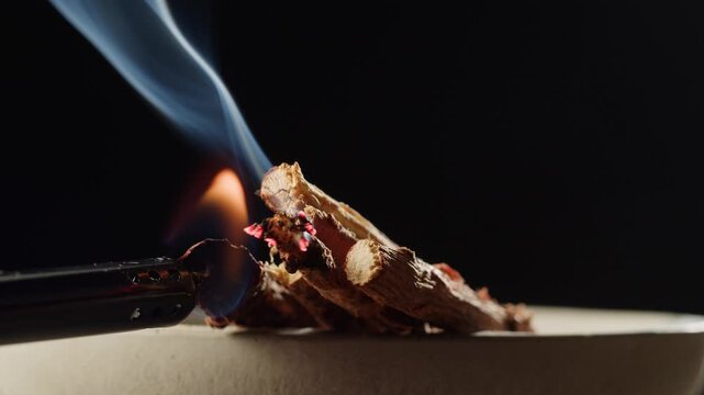 Person holding Palo Santo wood stick in hand, aromatic Palo Santo burning on black background, smoke spreading around, slow motion video clip, high quality 4k close up footage