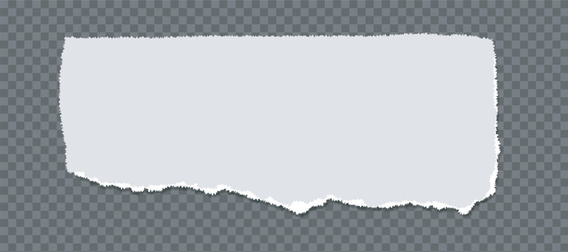 Torn Paper Banner Texture Strip With Ripped Edges On Transparent Background