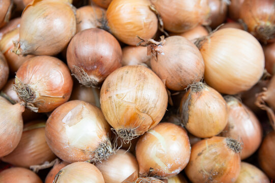 Pile of fresh raw onions, cooking ingredient, grocery market, harvest of vegetable, food farmingm skin peel and roots
