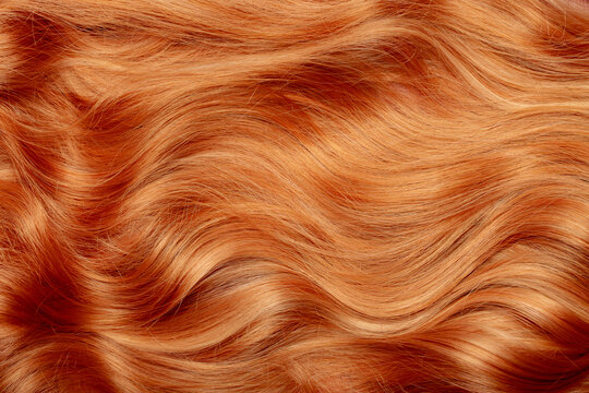 Red hair close-up as a background. Women's long orange hair. Beautifully styled wavy shiny curls. Hair coloring bright shades. Hairdressing procedures, extension.