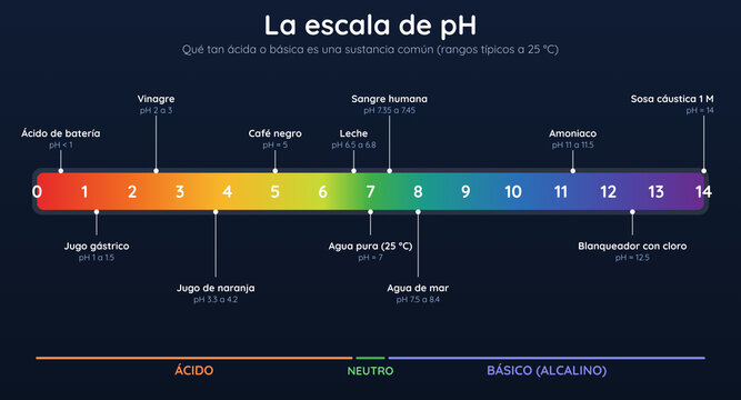 Infograf&iacute;a de la escala de pH con ejemplos de sustancias comunes