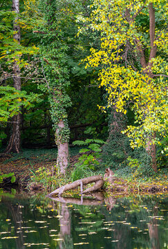 Badesee im Herbst im Volkspark Jungfernheide, Berlin, Deutschland