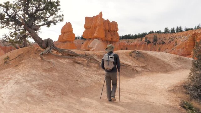 Backpacker with trekking poles and backpack hiking along scenic dirt path surrounded by orange hoodoos and sandstone rock formations in bryce canyon national park. Healthy lifestyle
