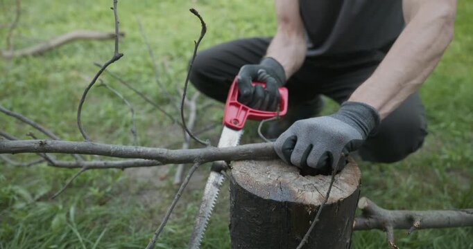 Male hands sawing twigs branches with a hand saw. 4K 10-bit