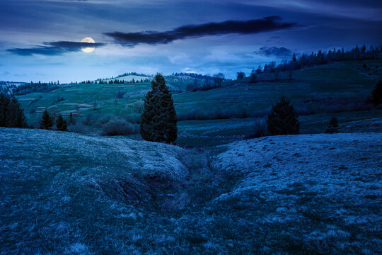 beautiful countryside of Ukraine at night. full moon over wonderful springtime landscape in Carpathian mountains. grassy field and rolling hills. mysterious rural scenery