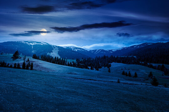 panoramic view of countryside of Ukraine at night. full moon over wonderful springtime landscape in Carpathian mountains. grassy field and rolling hills. mysterious rural scenery