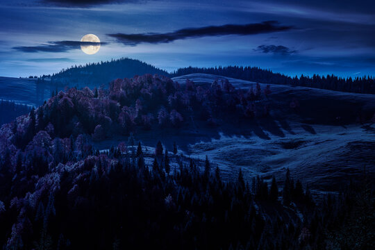 mysterious hillside of mountain range with mixed forest and alpine meadow in autumn colors at night. full moon on dark sky over Apuseni national park. Romania in fall season