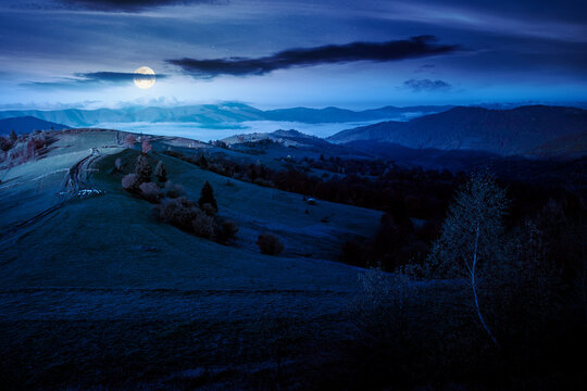 scenic carpathian autumn night. full moon over countryside mountain landscape with forest in fall colors. path leading through rolling hills in to the foggy valley under mysterious sky