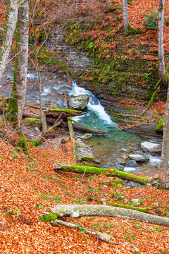 landscape in mountain, forest and a river in front. beautiful scenery in autumn. deciduous trees, orange foliage and mossy rocks
