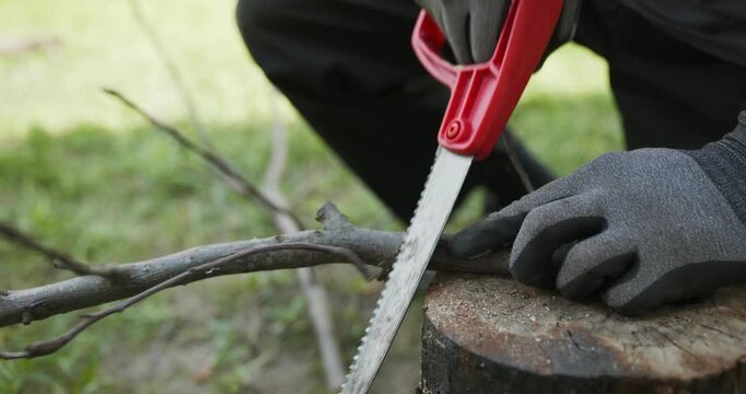 Male hands sawing twigs branches with a hand saw. 4K 10-bit