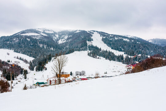beautiful countryside of Ukraine. overcast forenoon. wonderful winter landscape in mountains. snow covered field and rolling hills. rural scenery