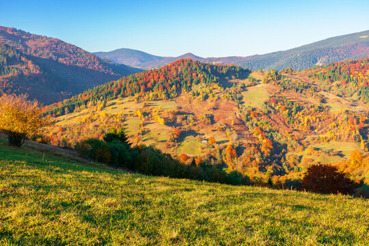 mountainous countryside scenery at sunset. cloudless sky above the rural valley. green fields and colorful trees on the hill. beautiful nature scenery of carpathians in autumn