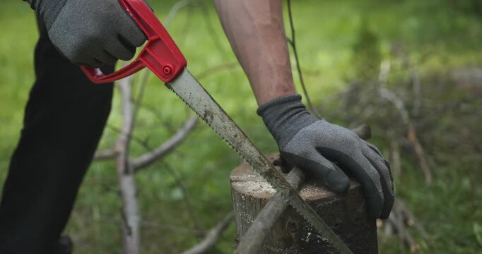 Male hands sawing twigs branches with a hand saw. 4K 10-bit