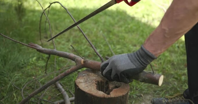 Male hands sawing twigs branches with a hand saw. 4K 10-bit