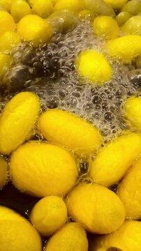 Golden silkworm cocoons simmer in hot water during silk production, showing a traditional stage of raw silk processing with bubbling water and yellow cocoons in a close-up view.