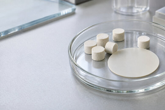 Solid State Battery Ceramic Electrolyte Pellets