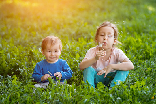 Cute Sister Blows Dandelion Fluff Beside Younger Baby Brother Seated In Park Lawn During Warm Summer Day. Happy Youngsters Discover Pediatric Outdoor Play Across Grassy Field Filled With Sun.