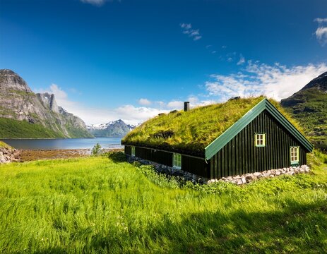 norwegian typical grass roof country house in scandinavian panorama