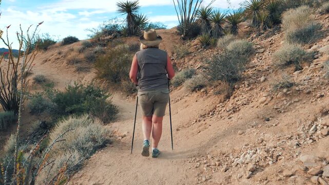 Mature fat female hiker walking along sandy desert ridge path with trekking poles, exploring arid terrain filled with ocotillo and native shrubs. People who are overweight engage in walking