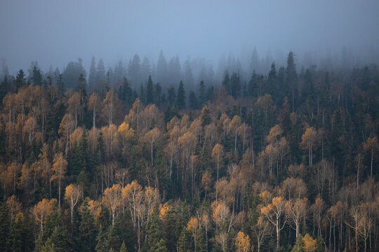 Autumn At Kolob Terrace