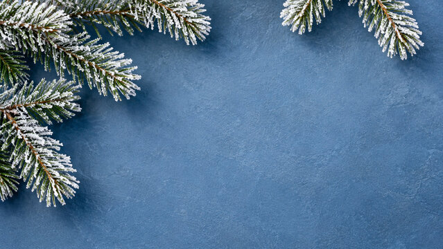 Frosted fir branches framing a clean winter background