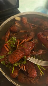 Checking boiling river cChecking cooked red river crayfish boiling in a pot with fresh dill and spices. rayfish with a fork in a pot . High quality 4k footage