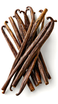 A collection of brown cinnamon sticks