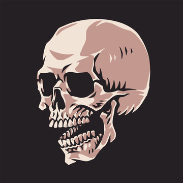 Stylized human skull with detailed teeth