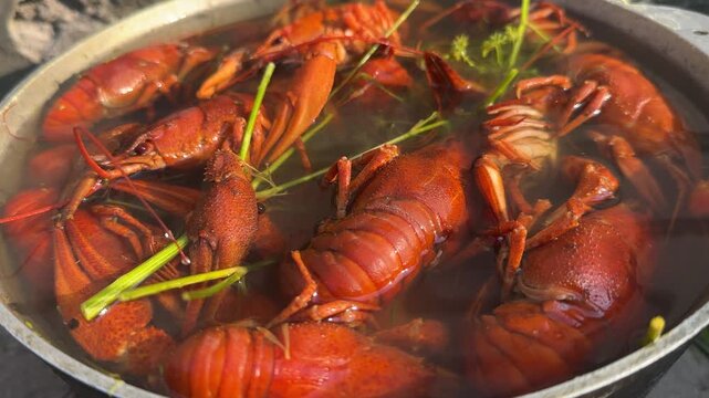 Delicious red river crayfish boiling in a pot with fresh dill and spices outdoors.