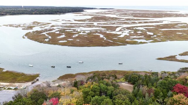 Autumn foliage is found in a coastal forest overlooking an extensive salt marsh on Cape Cod, Massachusetts. This scenic east coast destination, not far from Boston, is bordered by the Atlantic Ocean.