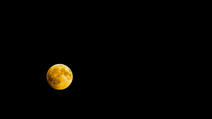 Orange colored full moon under a full eclipse showing detailed craters  © Craig Taylor Photo