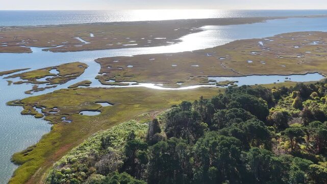 Morning sunlight shines on an extensive salt marsh in Orleans, Cape Cod, MA. Salt marshes are an incredibly important coastal habitat used by many species of fish, birds, and shellfish.