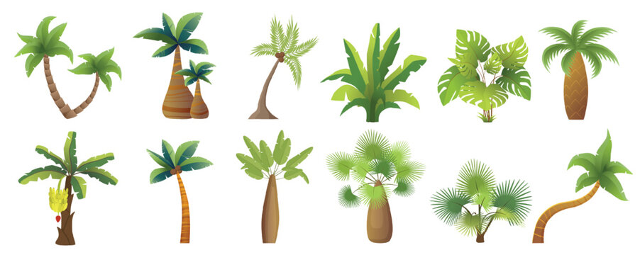Set of tropical palm trees and lush exotic plants with varied leaves and trunks, arranged as decorative botanical icons isolated on white background vector illustration
