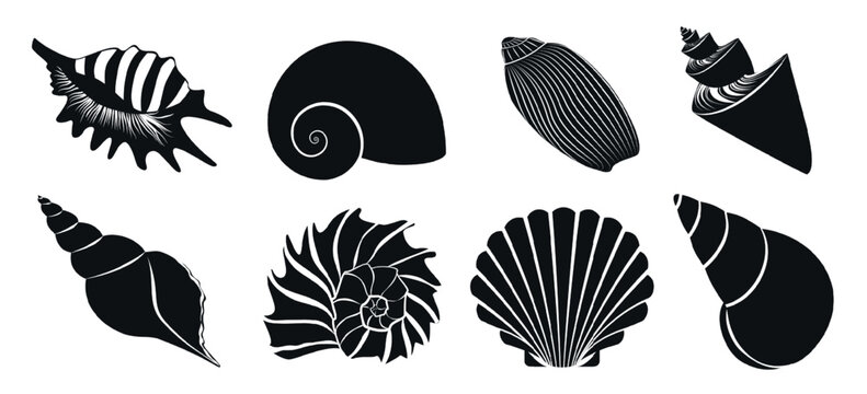 Collection of assorted seashell silhouettes including spiral conch scallop and marine shell forms, isolated on white background vector illustration