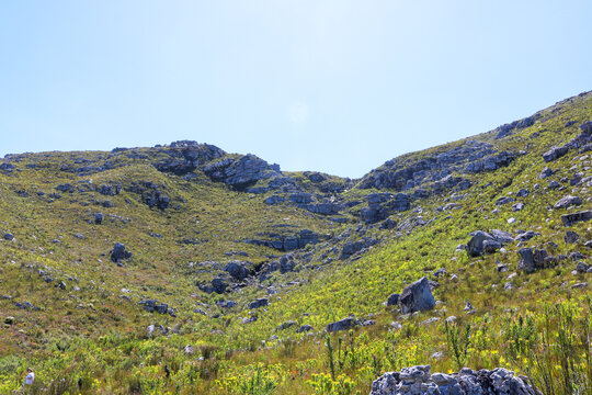 Rolling Rocky Hills Covered in Indigenous Fynbos in Cape Town