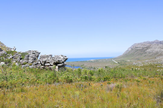 Rocky Coastal Landscape with Fynbos and Ocean Views in Cape Town