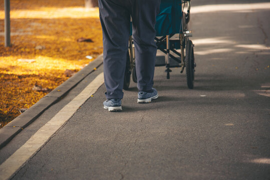 Close up wheelchairs for Disability person parking for disability patient in park with copy space. Crop Wheelchairs row hospital service for disabled people, background autumn season