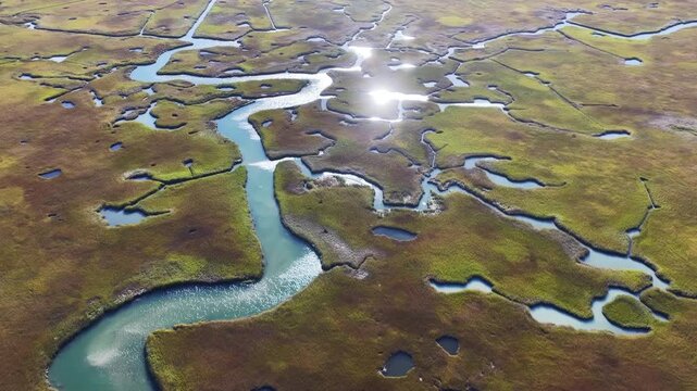 Morning sunlight shines on an extensive salt marsh in Orleans, Cape Cod, MA. Salt marshes are an incredibly important coastal habitat used by many species of fish, birds, and shellfish.