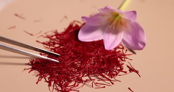 Putting saffron with tweezers onto beige background with crocus flower, closeup