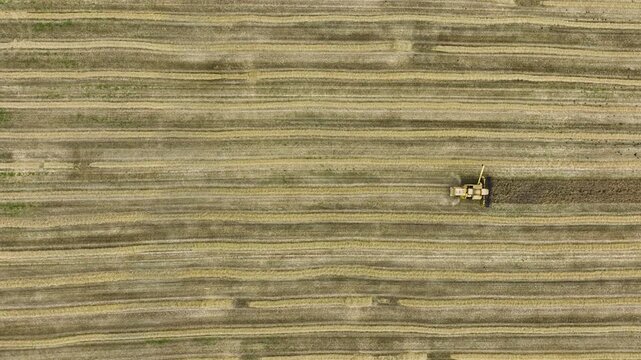 A yellow combine harvester cuts a dark strip through a field striped with golden straw windrows, aerial top down view. Green weeds in the stubble and dust behind the machine on an overcast summer day.