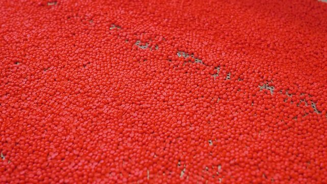 Close up: red recycled plastic granules, pellets on vibrating shale shaker, conveyor belt for separating, sorting material - plastic recycling machine. Reuse, waste reduction and sustainable concept