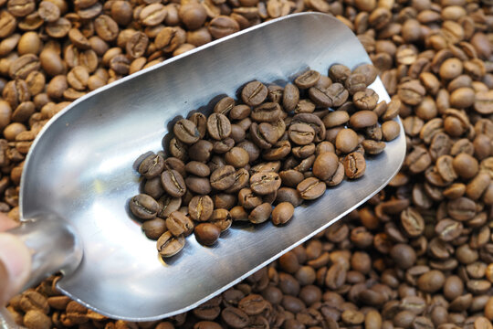 Coffee beans collected in a metal scoop at a roastery